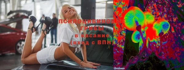 гашик Алексин