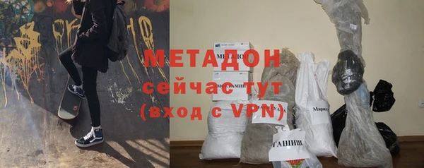 гашик Алексин