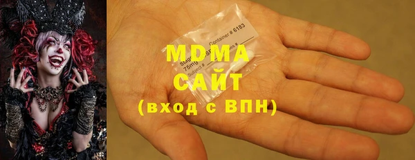 гашик Алексин