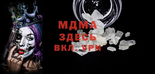 гашик Алексин
