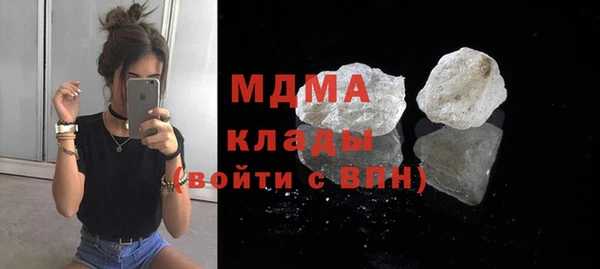 гашик Алексин