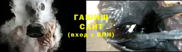 гашик Алексин