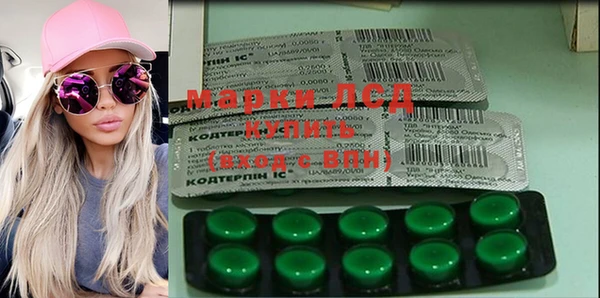 гашик Алексин