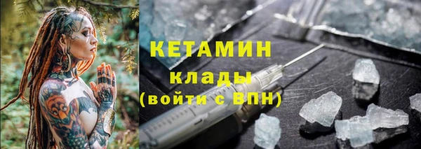 гашик Алексин