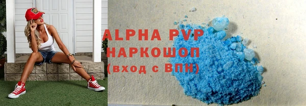 гашик Алексин