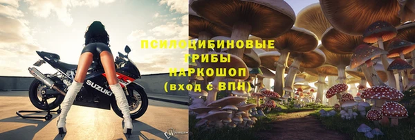гашик Алексин