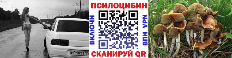 Псилоцибиновые грибы Psilocybe цены наркотик Канаш