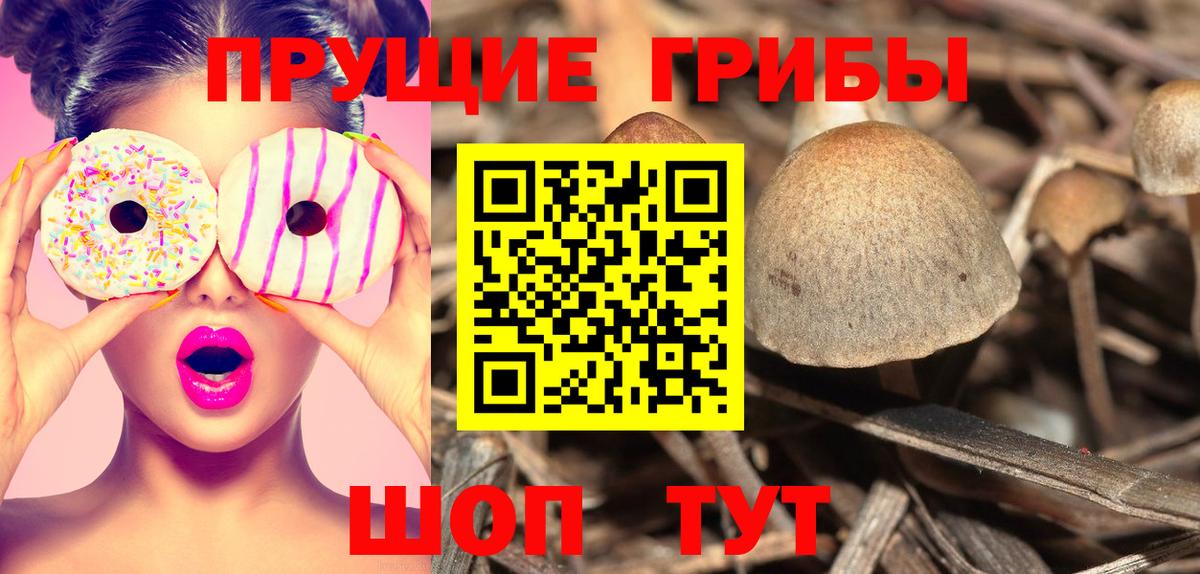 наркотики  Галлюциногенные грибы Magic Shrooms  Вход с VPN  Канаш 